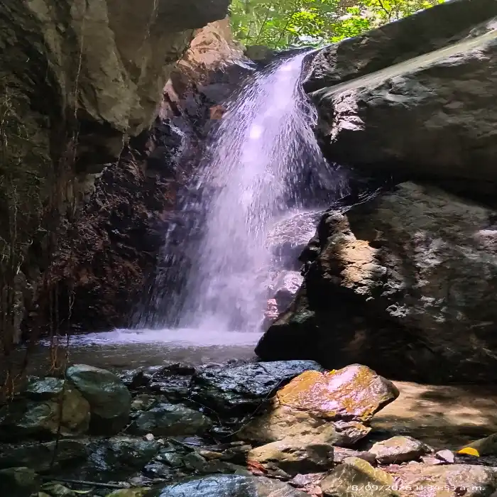 Naturaleza